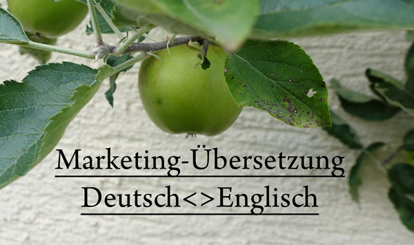 Englisch-Übersetzer für Marketing