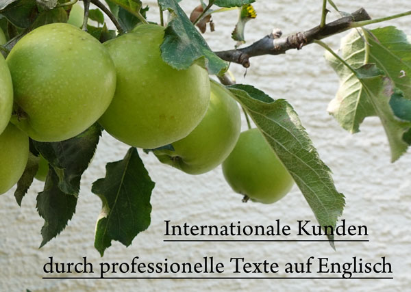 Mit einer Englisch-Übersetzung neue Kunden gewinnen