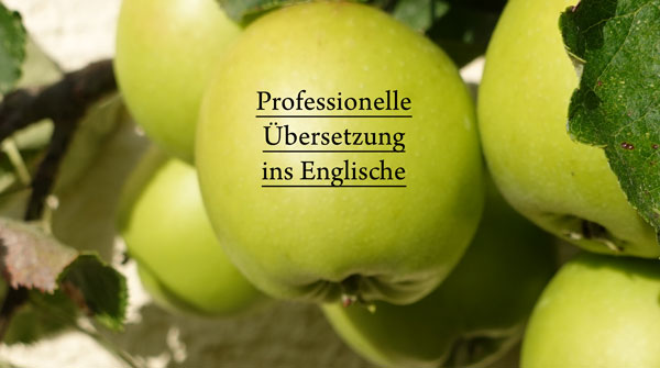 Übersetzungen ins Englische