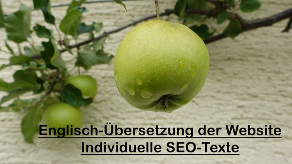 Englisch-Übersetzer der Website