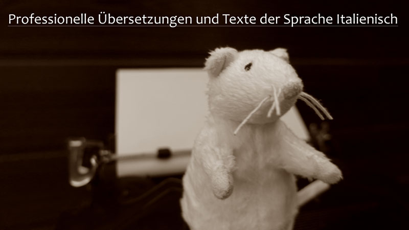 Italienisch-Übersetzer-Texter